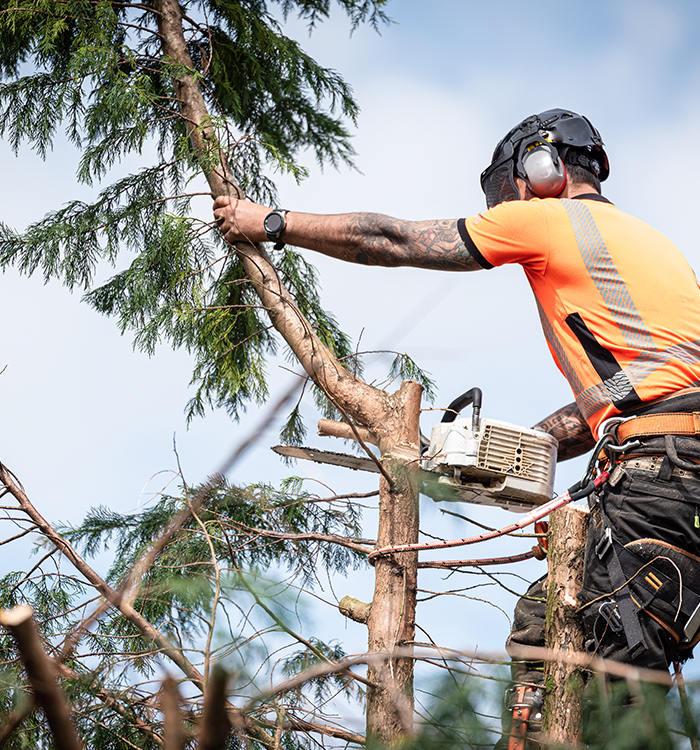 entretien espaces verts