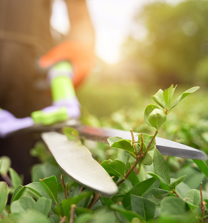 Entretien d'espaces verts 